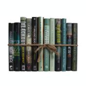 Booth & Williams Everglades Dust Jacket Decorative Books, One Foot Bundle of Real, Shelf-Ready Books