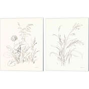 Great Art Now Nature Sketchbook by Danhui Nai 12-Inch x 15-Inch Canvas Wall Art (Set of 2)