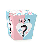 Big Dot of Happiness Baby Gender Reveal - Party Mini Favor Boxes - Team Boy or Girl Party Treat Candy Boxes - Set of 12
