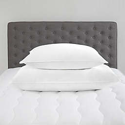 Standard Textile Home - Firm Down Alternative Pillow (Chamberfirm) Set of 2, Standard
