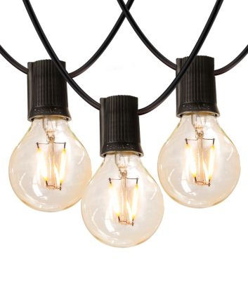 Ambience Pro LED String Lights - G40 Bulb, 24ft, Black