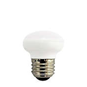 Xtricity - Dimmable Energy Saving LED Bulb, 4.5W, E26 Base, 3000K Soft White