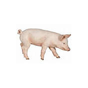 Papo Male Piglet Animal Figure 51137