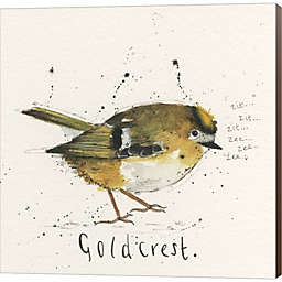 Great Art Now Goldcrest by Michelle Campbell 24-Inch x 24-Inch Canvas Wall Art