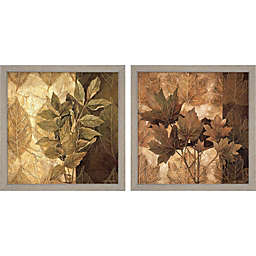 Great Art Now Leaf Patterns by Linda Thompson 14-Inch x 14-Inch Framed Wall Art (Set of 2)
