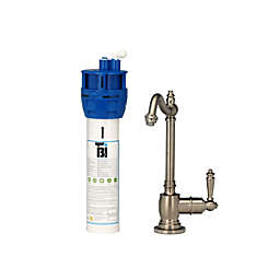 AquaNuTech AquaNuTech Hook Spout Cold Water Only Filtration Faucet with Filtration System, Brushed Nickel