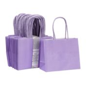 Blue Panda 50 Pack Purple Paper Gift Bags with Handles, Bulk Set for Birthday Themed Party Favors, Presents (6 x 5 x 2.5 In)
