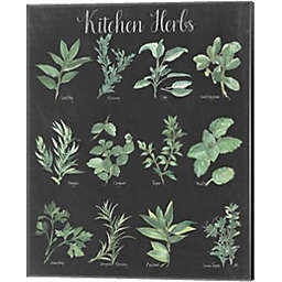 Metaverse Art Kitchen Herb Chart on Black II by Chris Paschke 16-Inch x 20-Inch Canvas Wall Art