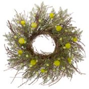 Northlight Burrs and Craspedia Artificial Twig Wreath, Yellow and Green - 20-Inch