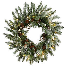 CC Christmas Decor Pre-Lit Snowy Morgan Spruce Artificial Christmas Wreath, 24-Inch, Warm White LED Lights