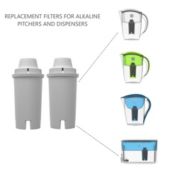 2 Pack Alkaline Replacement Filters