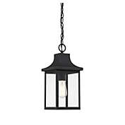 Trade Winds Weston 1-Light Outdoor Hanging Lantern in Black