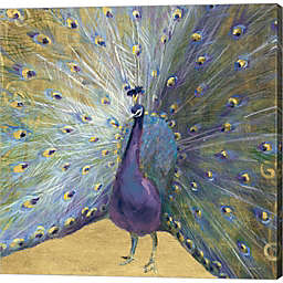 Great Art Now Purple and Gold Peacock by Danhui Nai 24-Inch x 24-Inch Canvas Wall Art