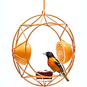 MEKKAPRO Sun Baltimore Oriole Feeder for Outdoors, Jelly and Orange Metal Bird Feeder, Unique Sun Design and Bright Color, Open Top Hook, UV-resistant Powder-coated Steel