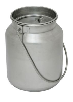 Lindy's Stainless Steel Gallon Jug