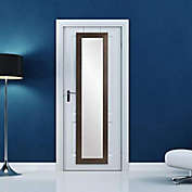 BrandtWorks Home Indoor Decorative Scratched Black Over the Door Full Length Mirror - 21.5x71