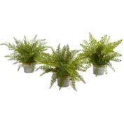 Nearly Natural Set of 3 Assorted Ferns Artificial Plants with Planter 14"