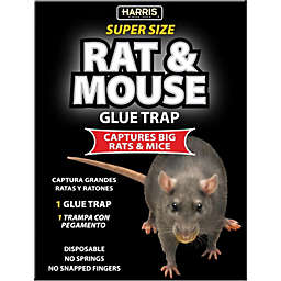 P F Harris Super-Size Rat and Mouse Glue Trap with Lure