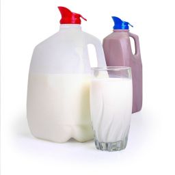 Jokari Milk Spout, 2pk (Set of 4)