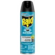 Raid Ant Killer 26, Pine Forest Fresh Scent, 17.5 oz