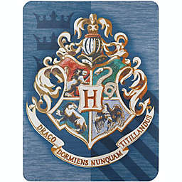 The Northwest Company Harry Potter   Wizard Banner, Blue