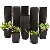 Bright Creations 150 Pack 2 Inch Plastic Seedling Pots for Plants, Small Square Nursery Planters for Flowers, Succulents (Black)
