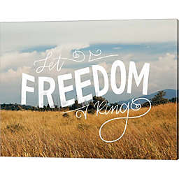 Great Art Now Freedom Prairie by Katie Doucette 20-Inch x 16-Inch Canvas Wall Art