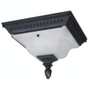 Special Lite Products Abington F-2753-BLK Flush Mount Light