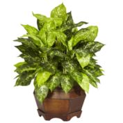 Nearly Natural 2' Artificial Variegated Dieffenbachia Large Hexagon Silk Plant