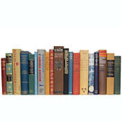 Booth & Williams World History Vintage Decorative Books, One Foot of Real, Shelf-Ready Books, Buy As Many Feet As You Need