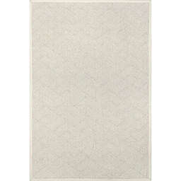 nuLOOM Natural Textured Suzanne Area Rug
