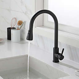 Inq Boutique Kitchen Faucet with Pull Out Spraye-dk