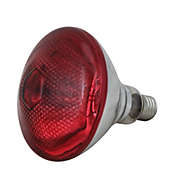 Northlight Incandescent Weatherproof 100 Watt Indoor/Outdoor Red Flood Light Bulb
