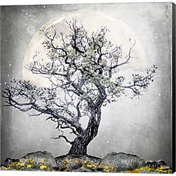 Metaverse Art August Tree 5 by LightBoxJournal 12-Inch x 12-Inch Canvas Wall Art