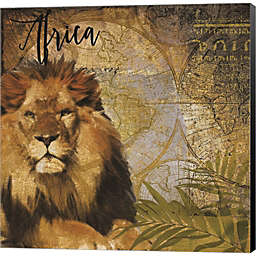 Great Art Now Taste of Africa Lion by Sophie 6 24-Inch x 24-Inch Canvas Wall Art