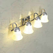 Kitcheniva 4-Light LED Light Brushed Nickel Vanity Lamp