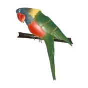 D-Art collection Metal Iron Handmade Green Parrot Wall Decor