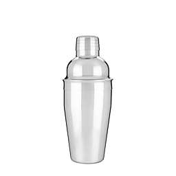 Ture- Stainless Steel Cocktail Shaker by True