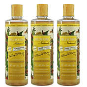 Dr Jacobs Naturals 16 Oz. 3 Pack Pure Castile Liquid Soap - ALMOND HONEY