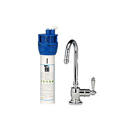 AquaNuTech AquaNuTech Traditional C-Spout Cold Water Only Faucet with Filtration System, Chrome
