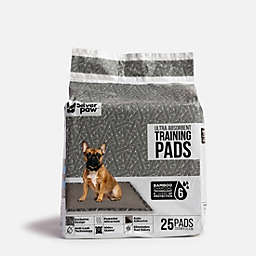 Silver Paw - Bamboo Charcoal Premium Dog Training Pads
