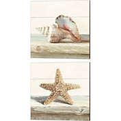 Metaverse Art Driftwood Shell A by Danhui Nai 14-Inch x 14-Inch Canvas Wall Art (Set of 2)