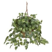 Nearly Natural 3' Artificial Silk Pothos Plant with Hanging Basket