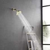 Infinity Merch 5" Adjustable Shower Head with 6 Spray Setting in Gold