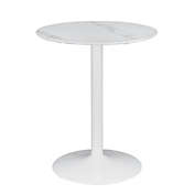 Saltoro Sherpi Counter Height Table with Marble Top and Metal Flared Base, White-
