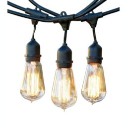 Ambience Pro Incandescent String Lights - S19 Bulb, 40W, 48ft