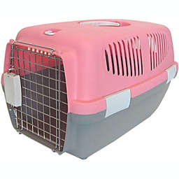 YML Small Plastic Carrier for Small Animal, Pink