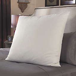 Pacific Coast Feather Restful Nights European Square Pillow Eurosquare - 26x26