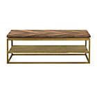 Alternate image 0 for Armen Living Faye Rustic Brown Wood Coffee Table with Shelf and Antique Brass Metal Base