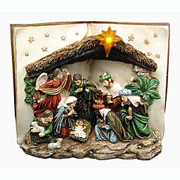Iwgac Christmas Holiday Party Nativity Scene Book LED